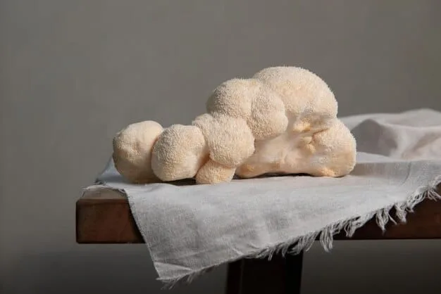 A detailed shot of a plush toy made from organic cotton, showcasing its soft texture and the label indicating that it is made from sustainable materials.