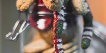 Seasonal Toy Customization: Unique Gifts in the US - Cover Image