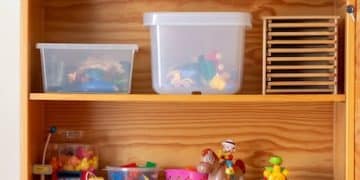 Seasonal Toy Care: Extend Toy Life in the US - Cover Image