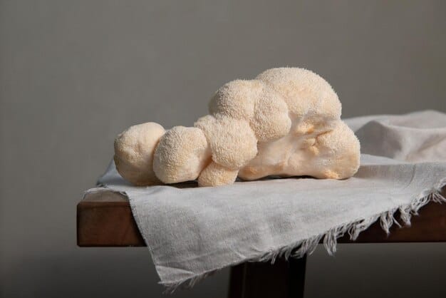 A detailed shot of a plush toy made from organic cotton, showcasing its soft texture and the label indicating that it is made from sustainable materials.