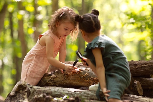 Two children collaborating on building a fort in the woods. They are using branches, leaves, and other natural materials to create their structure.