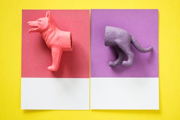 A collage showing the before-and-after of a toy photo. The 'before' side shows a slightly dull and flat image of a toy airplane, while the 'after' side shows the same image with enhanced colors, sharper details, and better contrast due to post-processing.