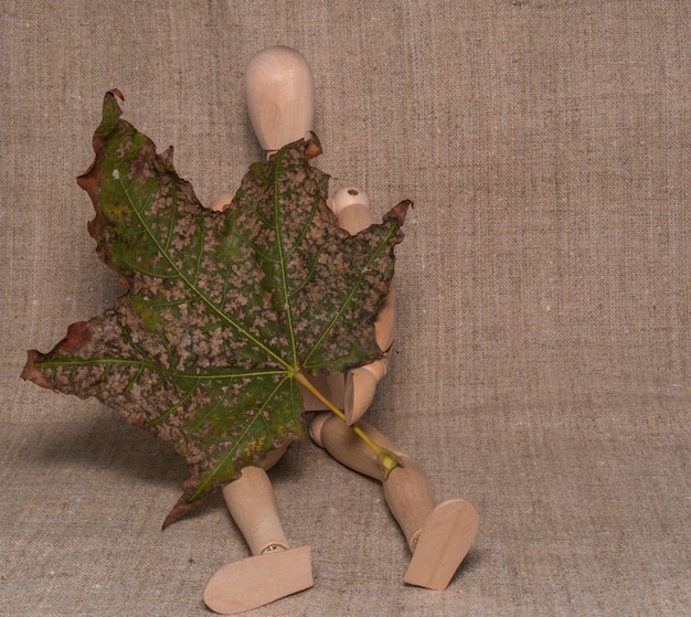 A collection of Tender Leaf Toys wooden animal figures, showcasing their detailed craftsmanship and use of natural wood grains and soft, muted colors.